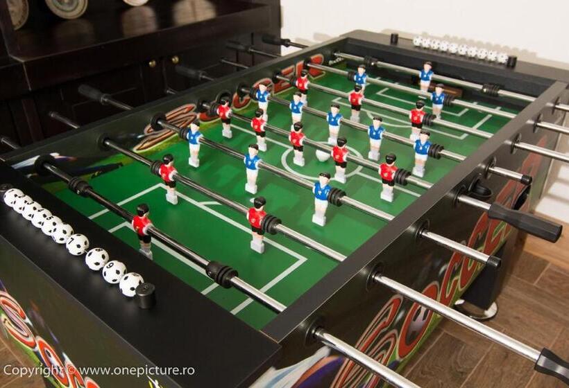 ホテル Hanul Haiducilor