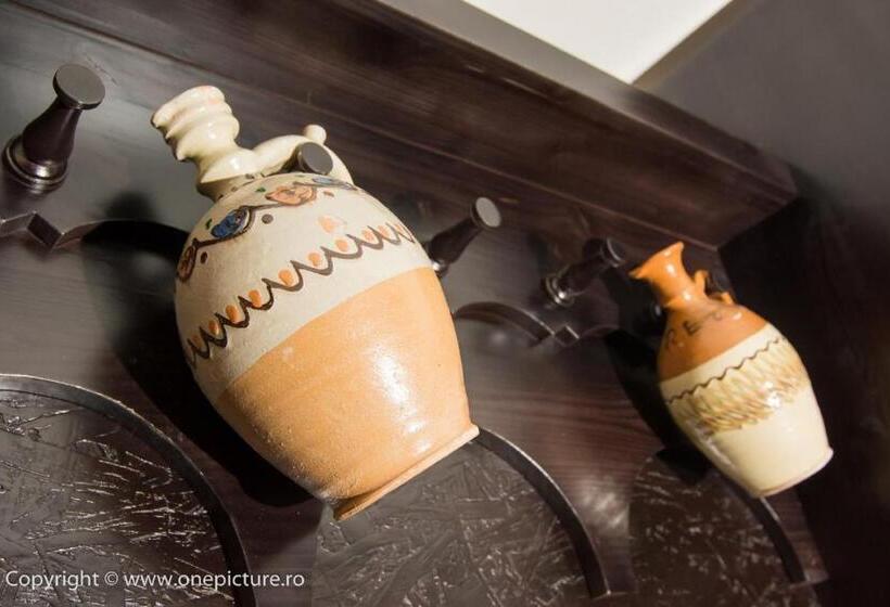 ホテル Hanul Haiducilor