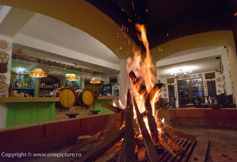 ホテル Hanul Haiducilor