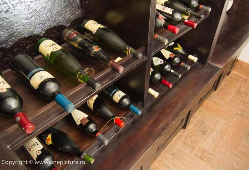 ホテル Hanul Haiducilor