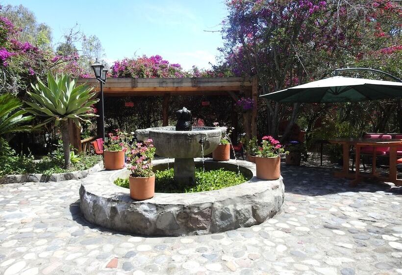 هتل Hosteria Museart Pantavi