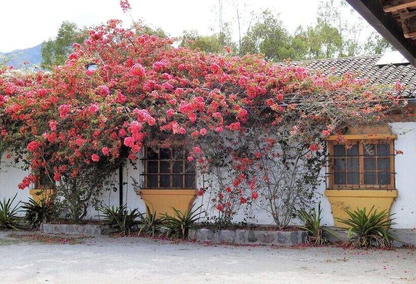 هتل Hosteria Museart Pantavi