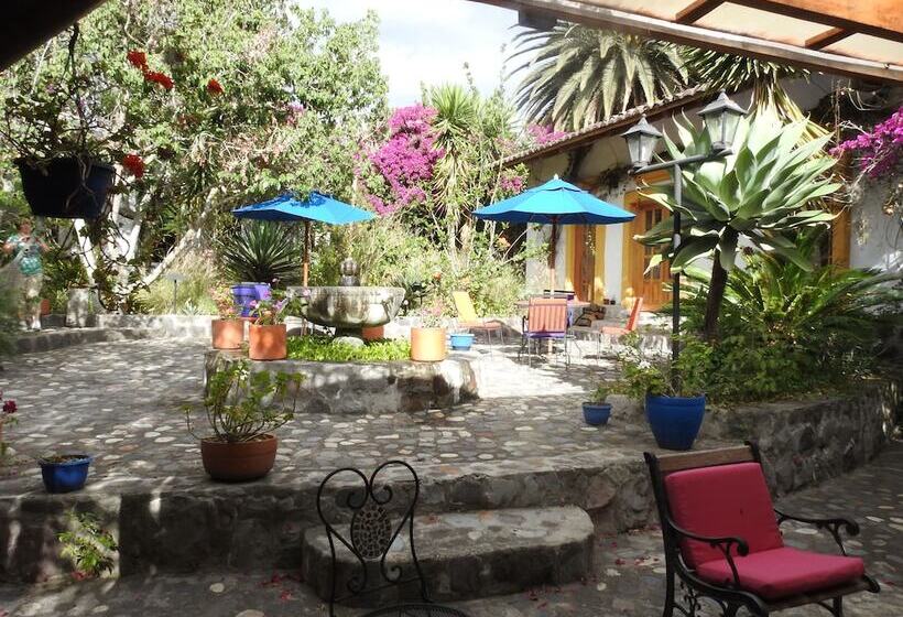 בית מלון כפרי Hosteria Museart Pantavi
