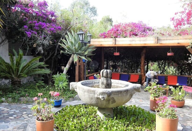 هتل Hosteria Museart Pantavi