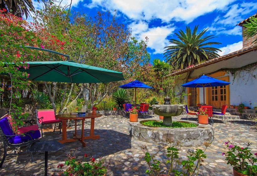 هتل Hosteria Museart Pantavi