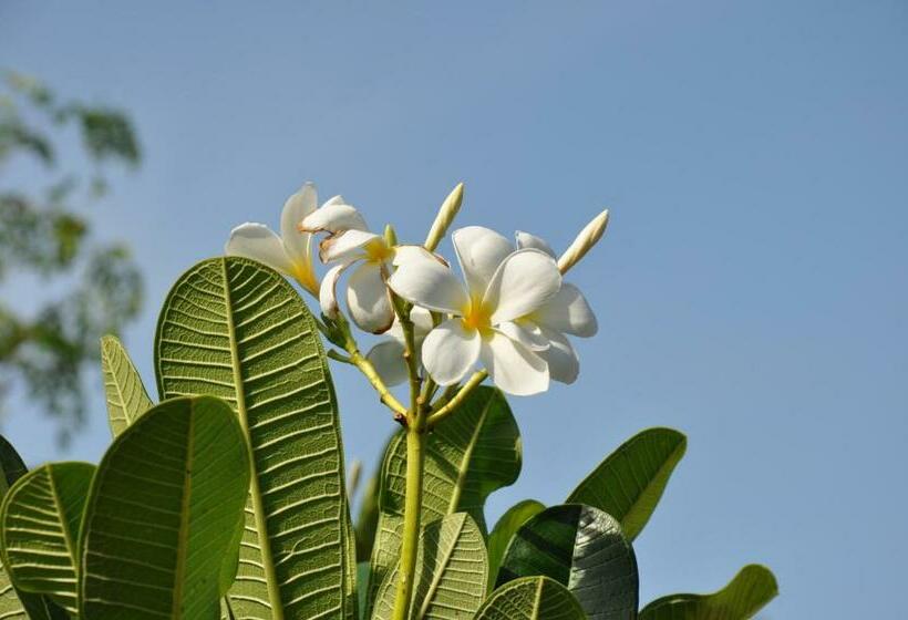 בית מלון כפרי Kandy Dawson Bungalow