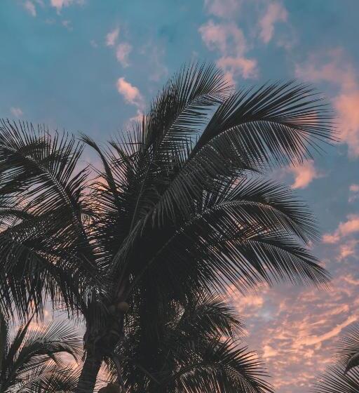 酒店 Makani Vichayito