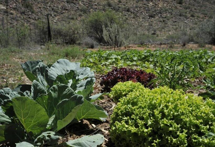 ホテル Melton Wold Guest Farm