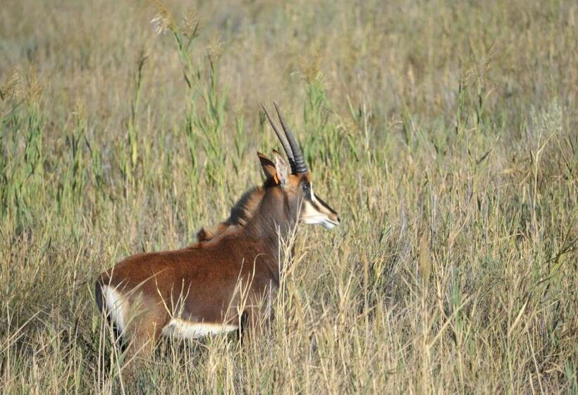 ホテル Melton Wold Guest Farm