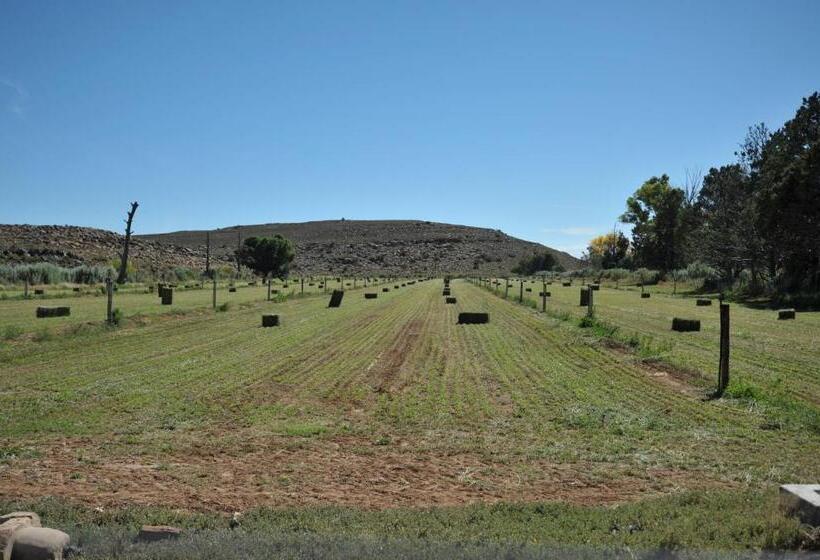 ホテル Melton Wold Guest Farm