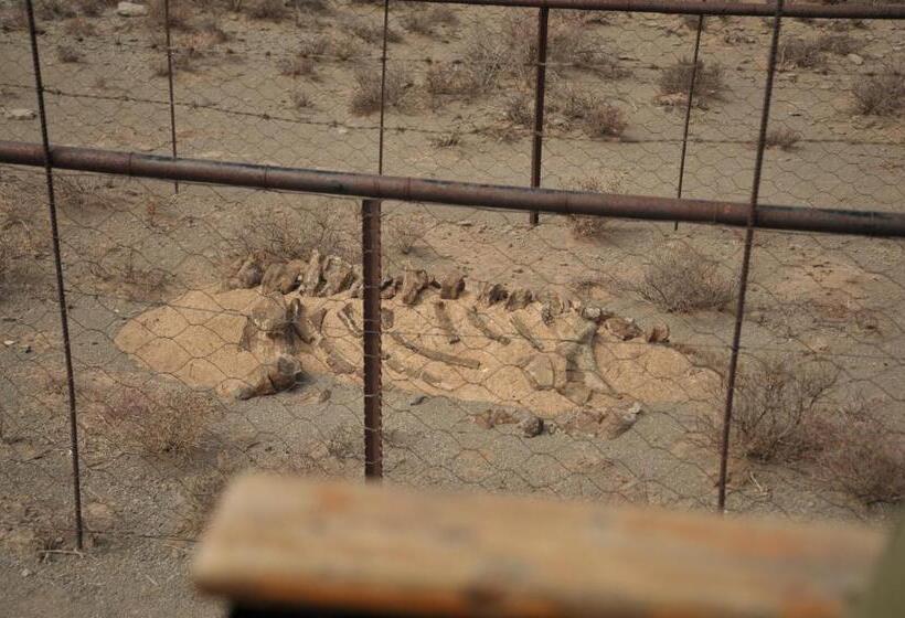 ホテル Melton Wold Guest Farm