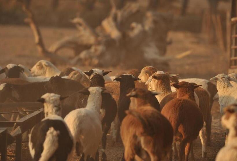 ホテル Melton Wold Guest Farm