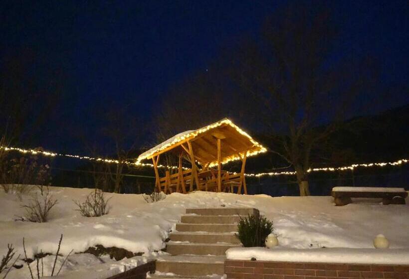 호텔 Pensiunea Casa Stefanel