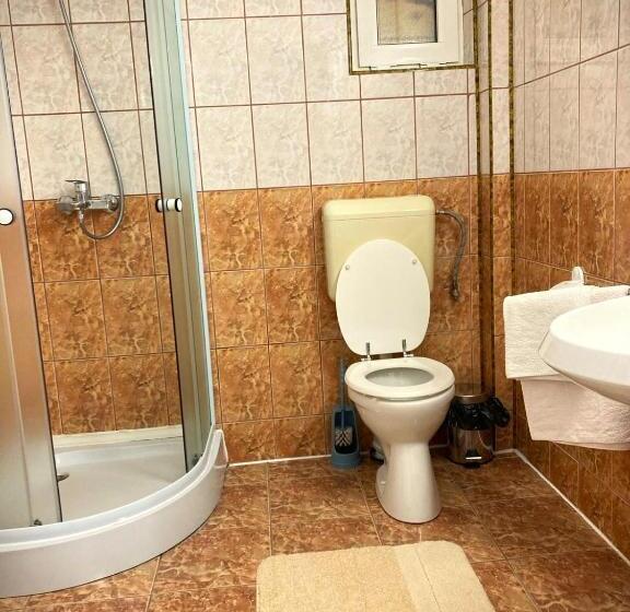 호텔 Pensiunea Casa Stefanel