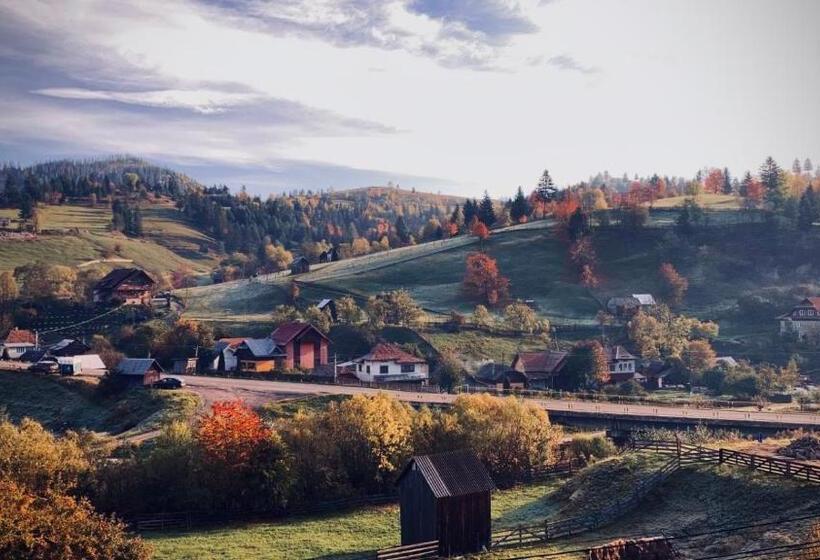 호텔 Pensiunea Casa Stefanel