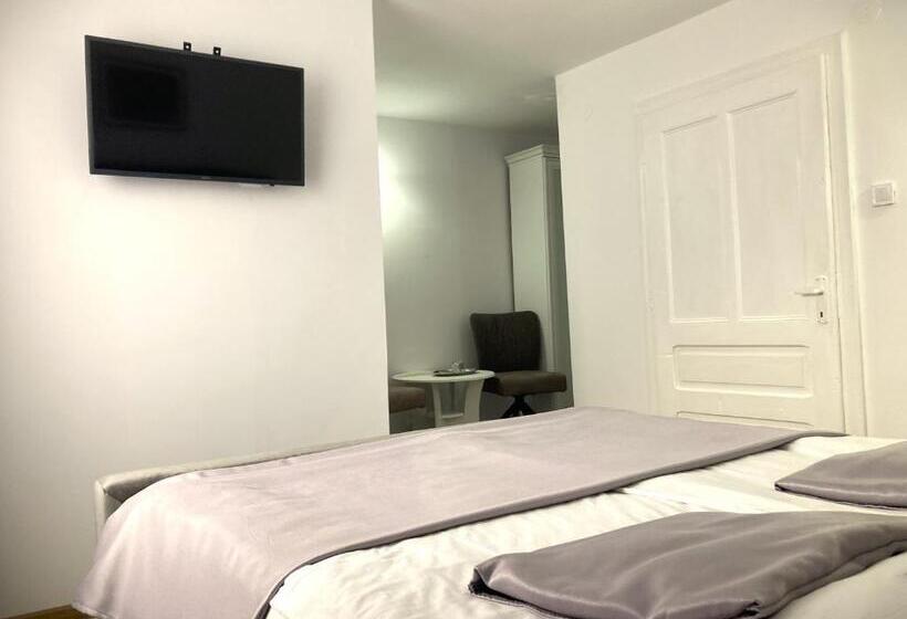 호텔 Pensiunea Casa Stefanel