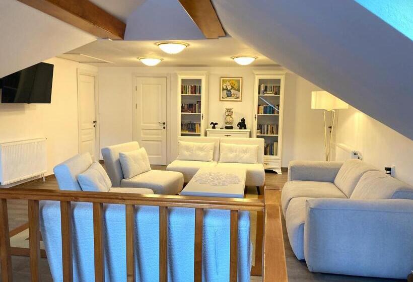 호텔 Pensiunea Casa Stefanel