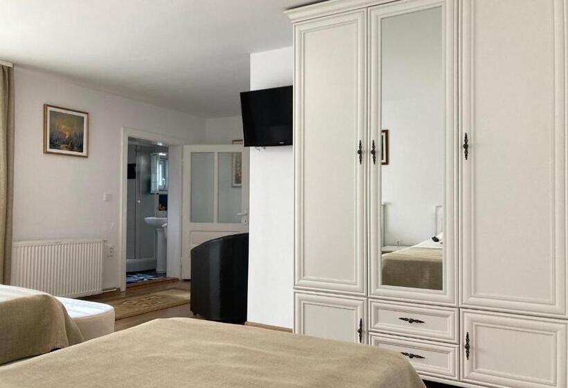 호텔 Pensiunea Casa Stefanel