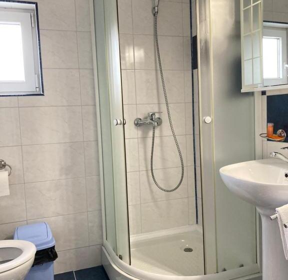 호텔 Pensiunea Casa Stefanel