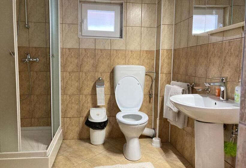 호텔 Pensiunea Casa Stefanel