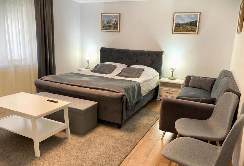 호텔 Pensiunea Casa Stefanel