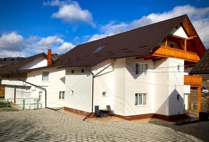 호텔 Pensiunea Casa Stefanel