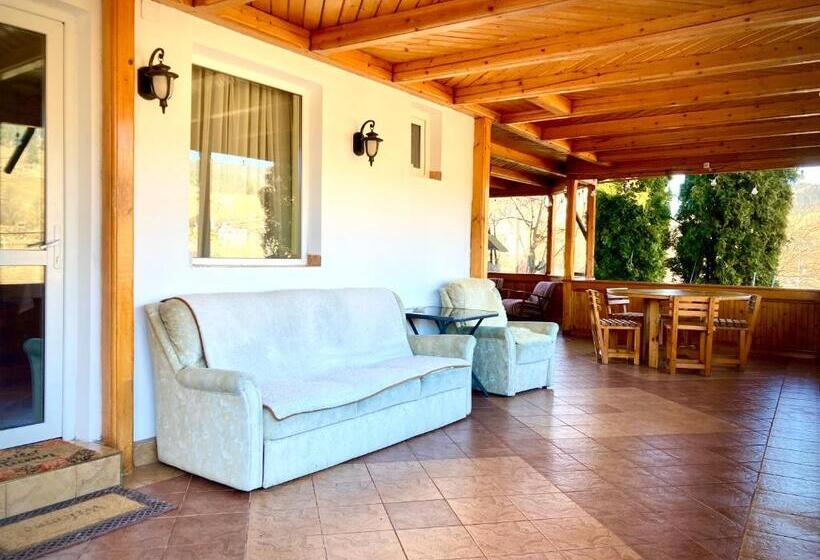 호텔 Pensiunea Casa Stefanel