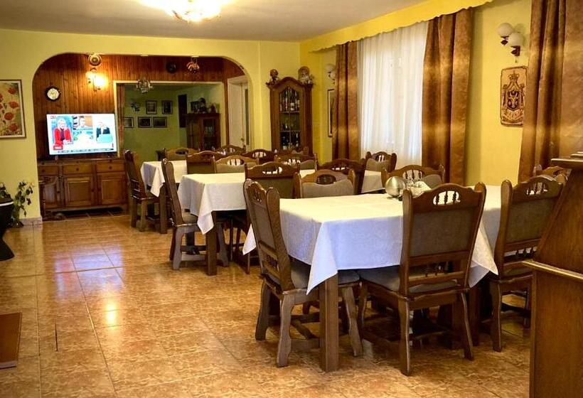 호텔 Pensiunea Casa Stefanel