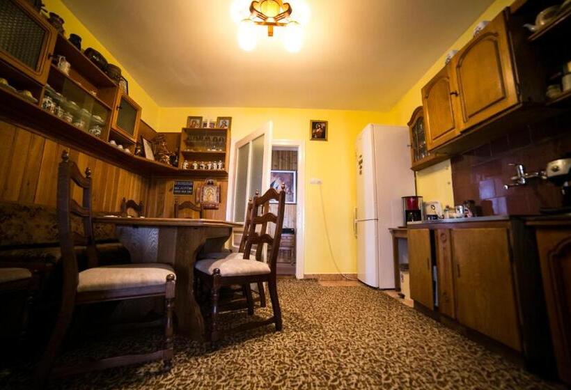 호텔 Pensiunea Casa Stefanel