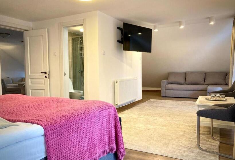 호텔 Pensiunea Casa Stefanel