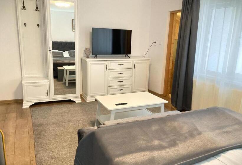 호텔 Pensiunea Casa Stefanel