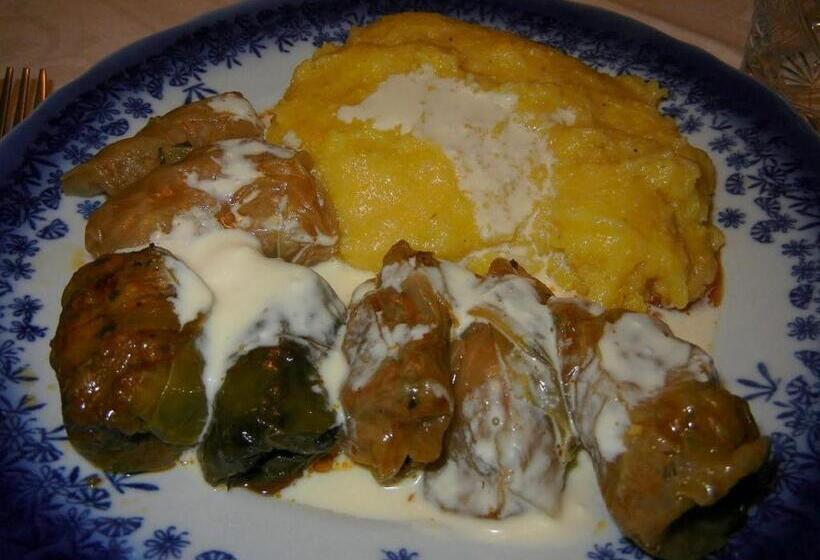 호텔 Pensiunea Casa Stefanel