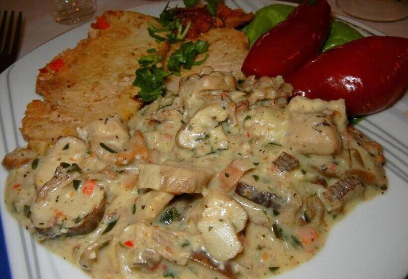 호텔 Pensiunea Casa Stefanel