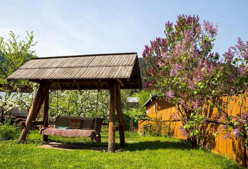 호텔 Pensiunea Casa Stefanel