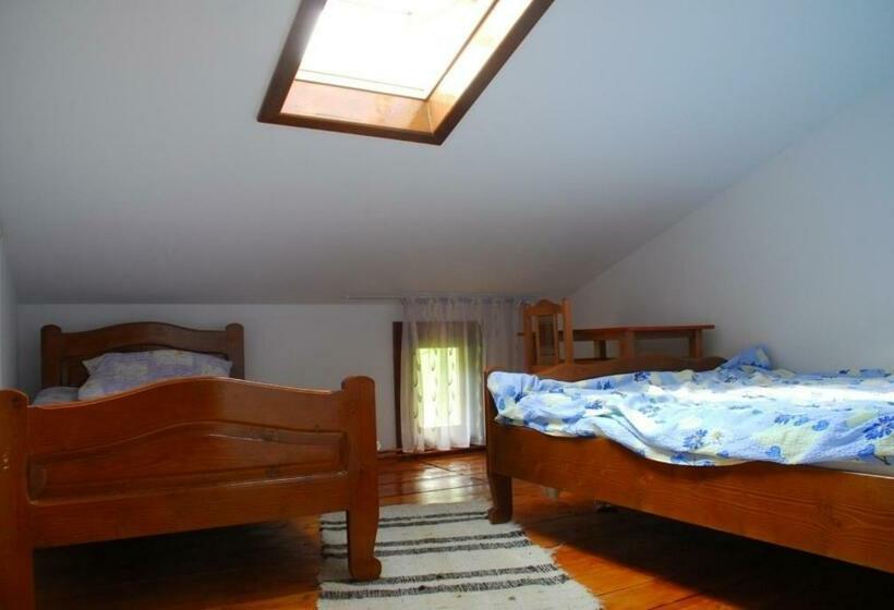 בית מלון כפרי Pensiunea Scarisoara