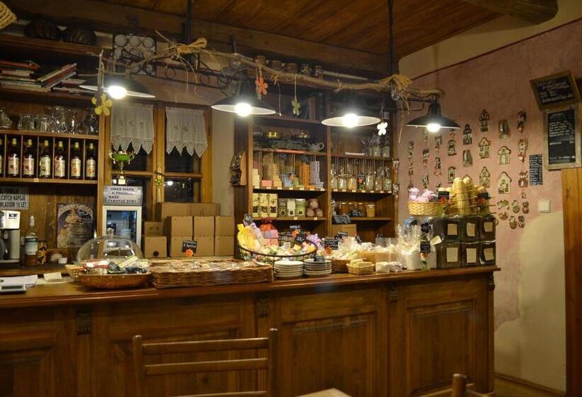 בית מלון כפרי Penzion Dvůr Krasíkov