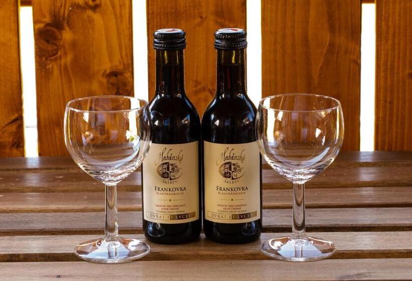 בית מלון כפרי Penzion Dvůr Krasíkov