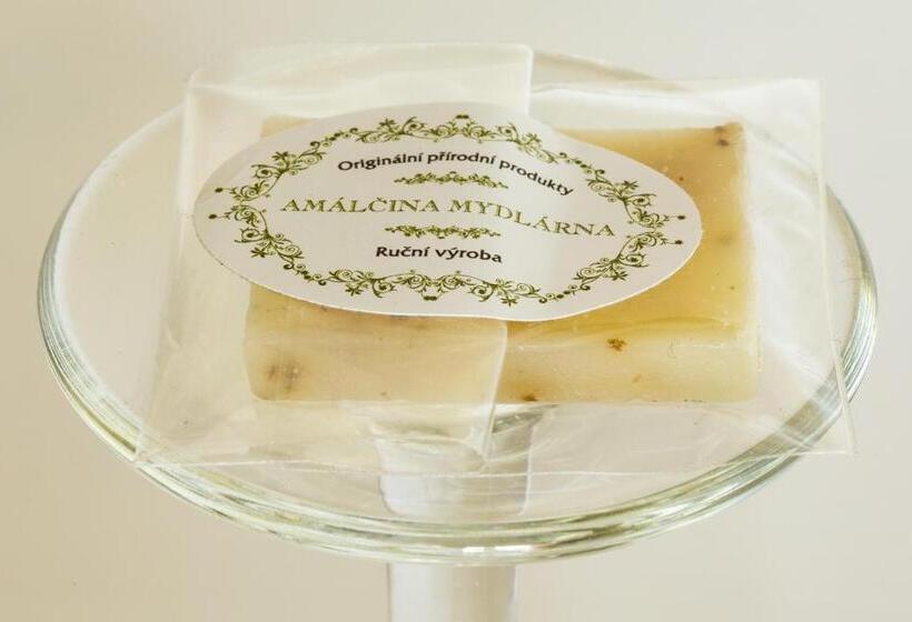 בית מלון כפרי Penzion Dvůr Krasíkov