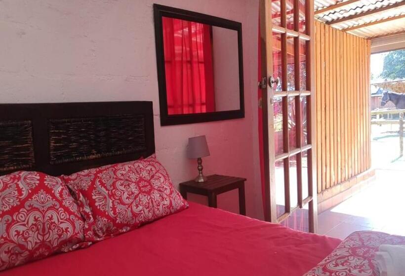 فندق Perdehoek Venue