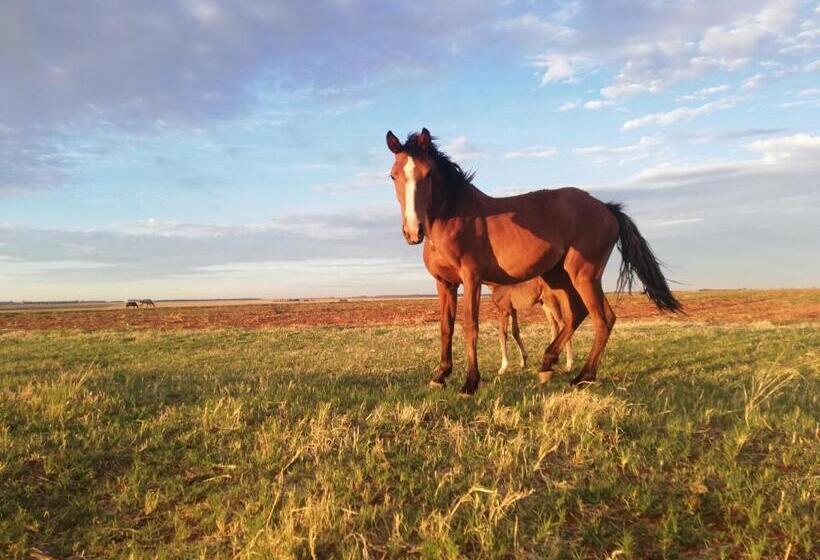 فندق Perdehoek Venue