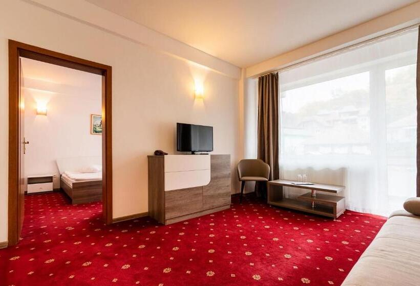 Отель President