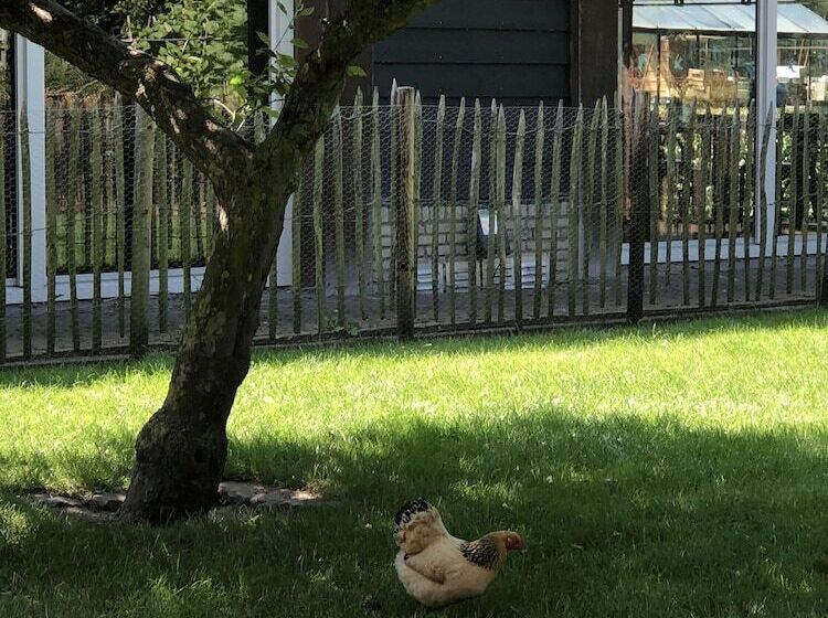 호텔 Hof Van  S Gravenmoer