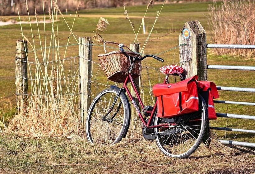 호텔 Hof Van  S Gravenmoer