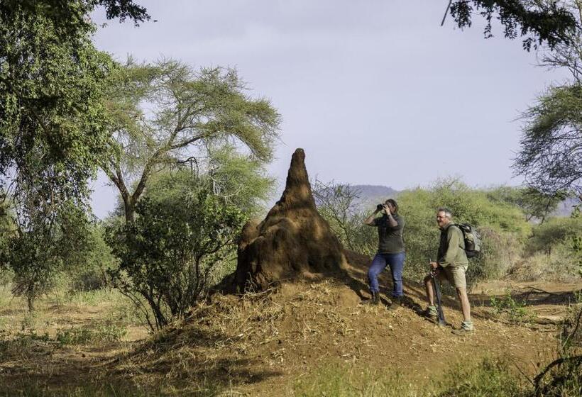 בית מלון כפרי The Outpost & Pel S Post