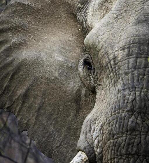 בית מלון כפרי The Outpost & Pel S Post