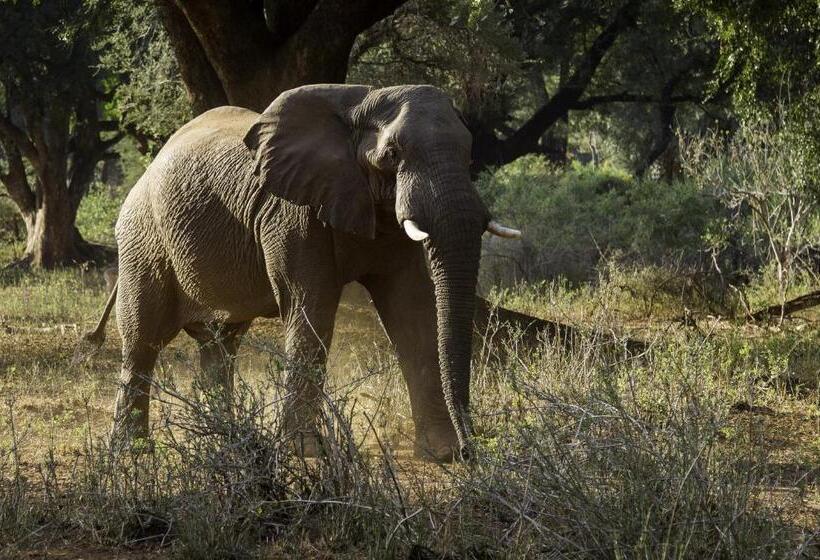 בית מלון כפרי The Outpost & Pel S Post