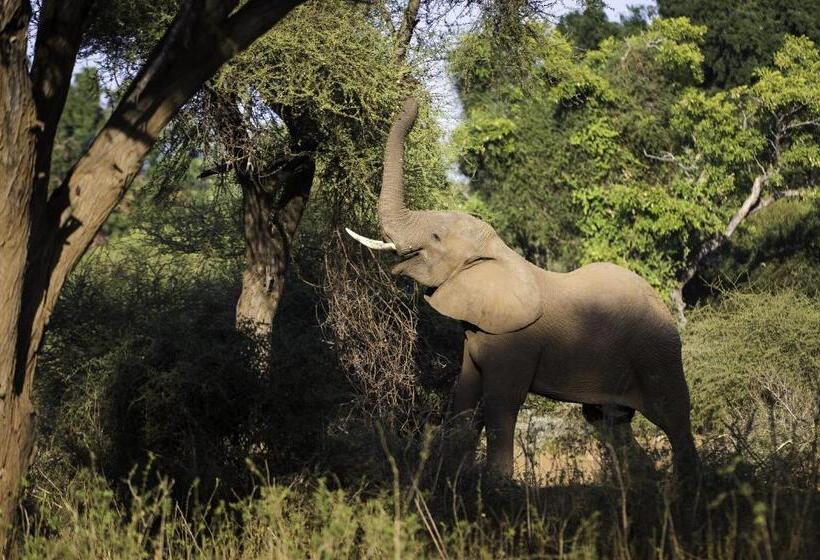 בית מלון כפרי The Outpost & Pel S Post