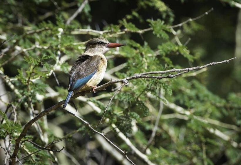 בית מלון כפרי The Outpost & Pel S Post