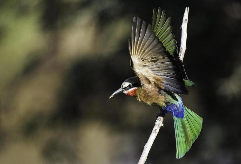 בית מלון כפרי The Outpost & Pel S Post