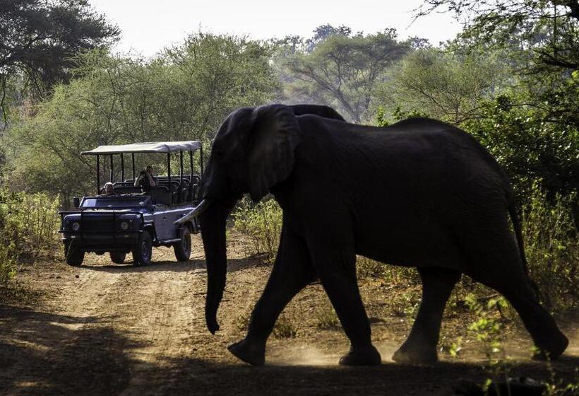 בית מלון כפרי The Outpost & Pel S Post